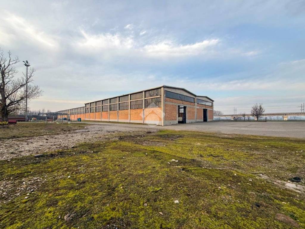 immagine annuncio 12 di 15