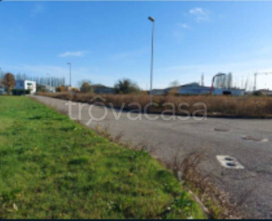 immagine annuncio 5 di 12