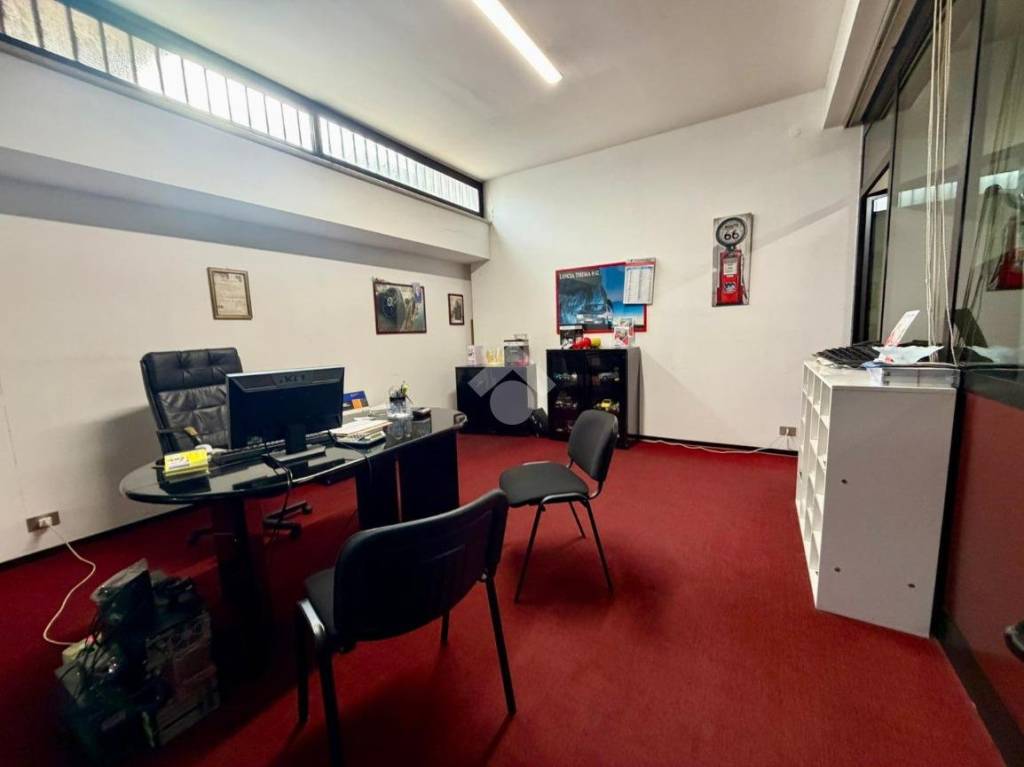 immagine annuncio 2 di 13