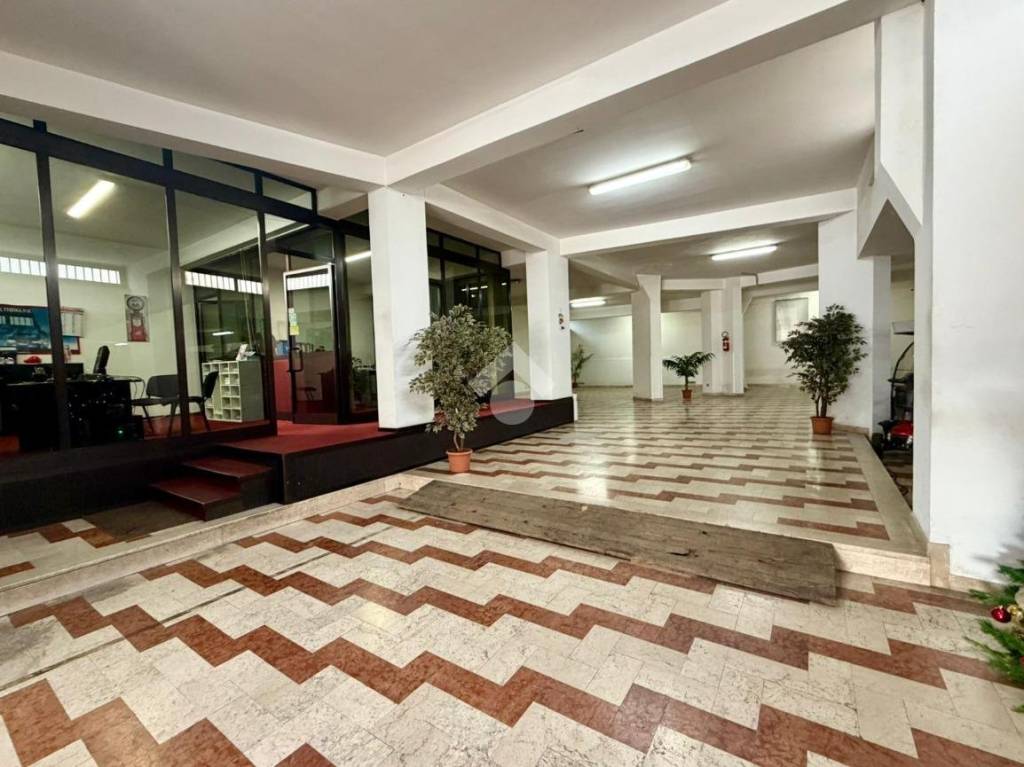 immagine annuncio 5 di 13