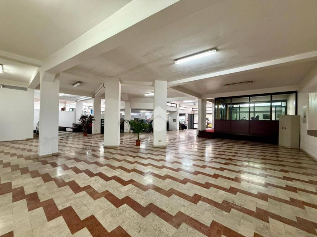 immagine annuncio 7 di 13