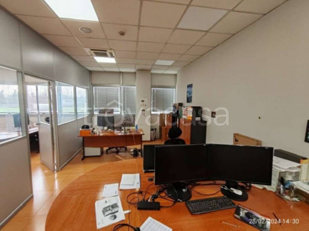 immagine annuncio 2 di 15