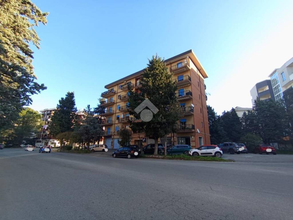 immagine annuncio 10 di 12