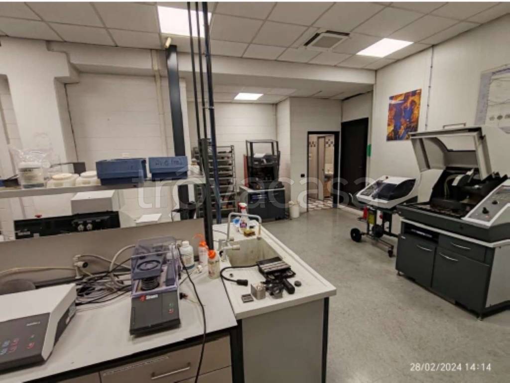 immagine annuncio 7 di 15