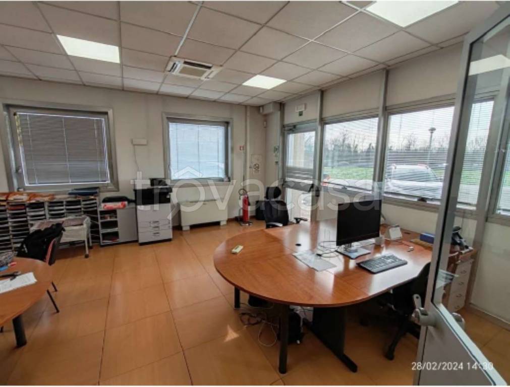 immagine annuncio 9 di 15