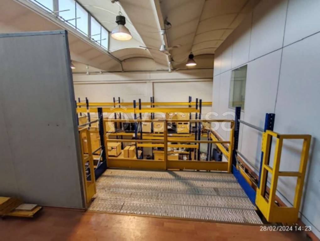 immagine annuncio 12 di 15