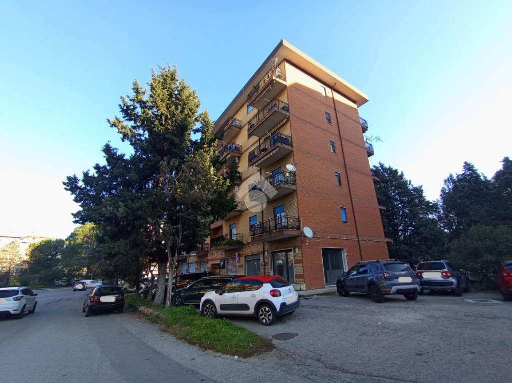 immagine annuncio 8 di 12