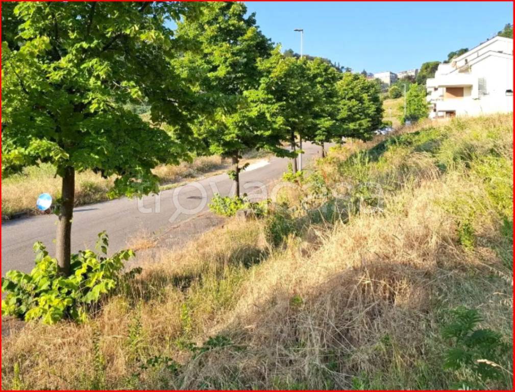 immagine annuncio 5 di 13