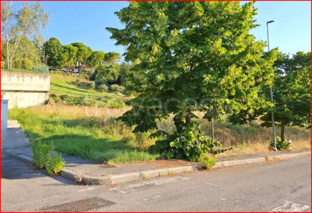 immagine annuncio 6 di 13