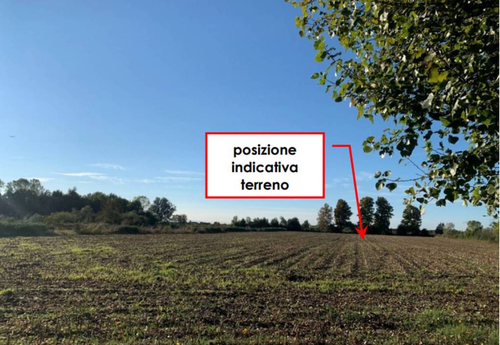 immagine annuncio 10 di 11