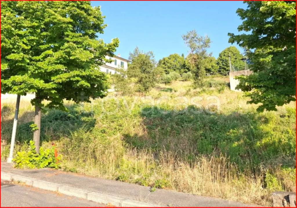 immagine annuncio 7 di 13