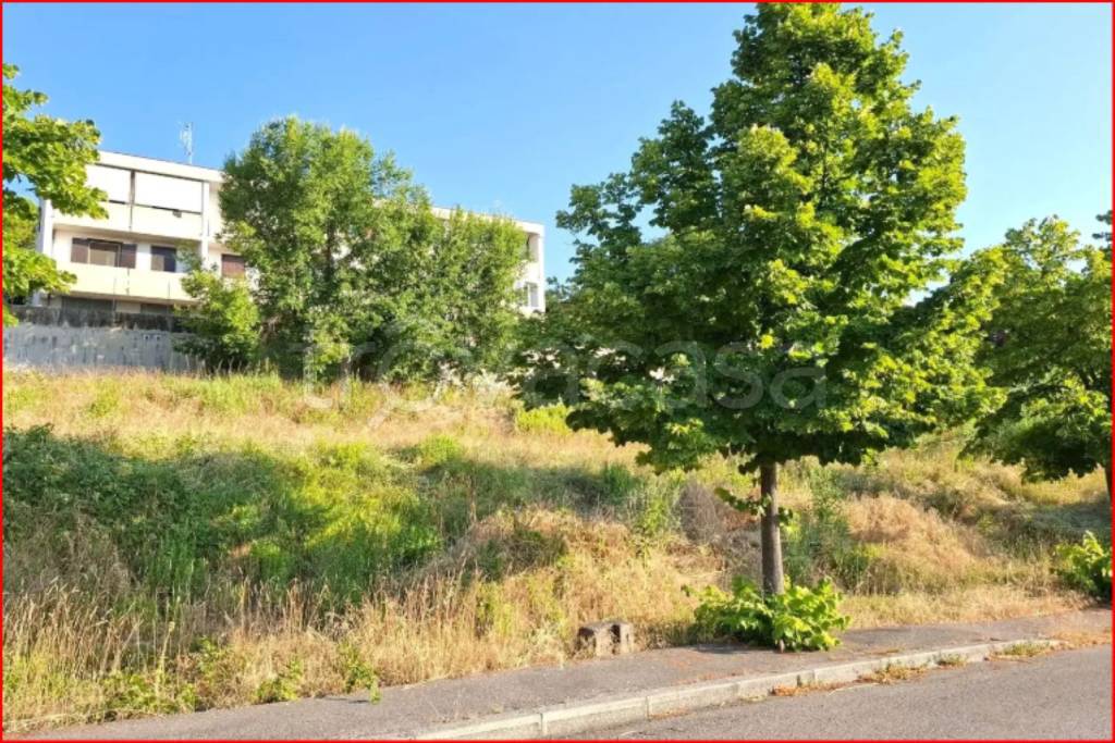 immagine annuncio 8 di 13