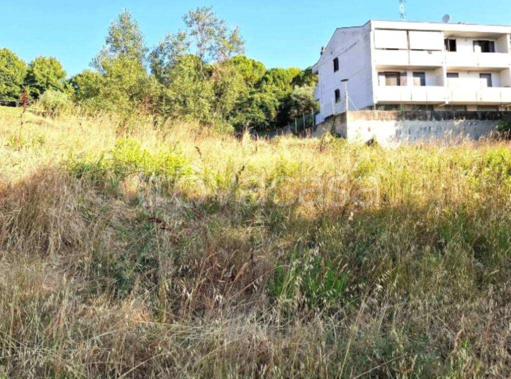 immagine annuncio 5 di 10