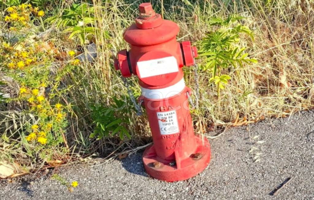 immagine annuncio 7 di 10