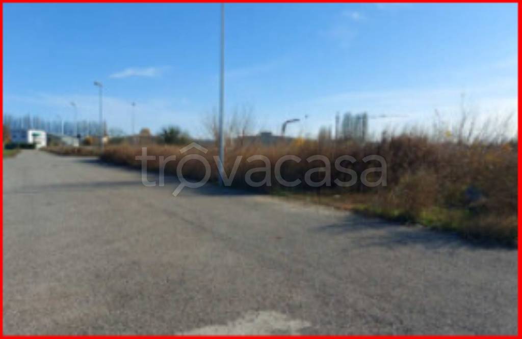 immagine annuncio 3 di 13