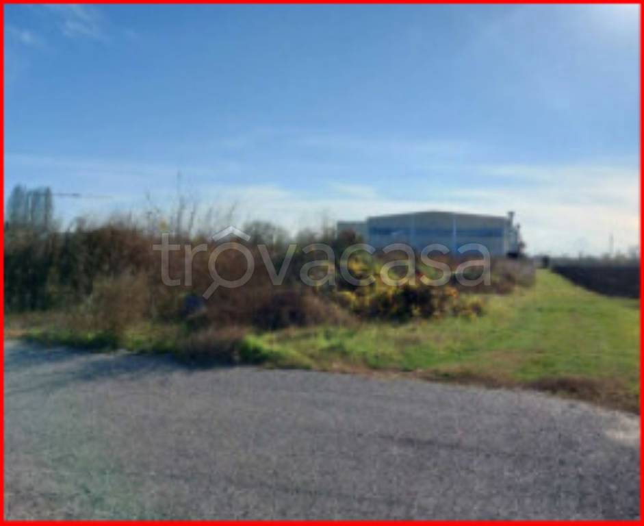 immagine annuncio 4 di 13