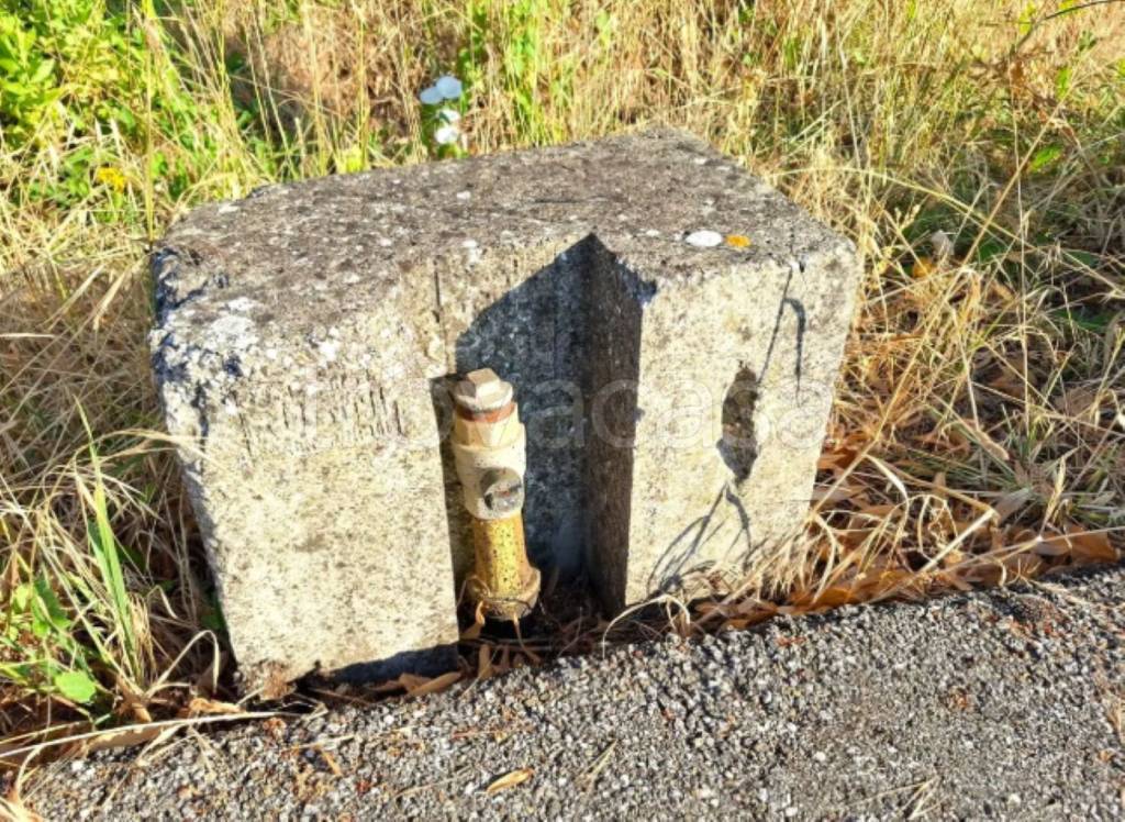 immagine annuncio 8 di 10