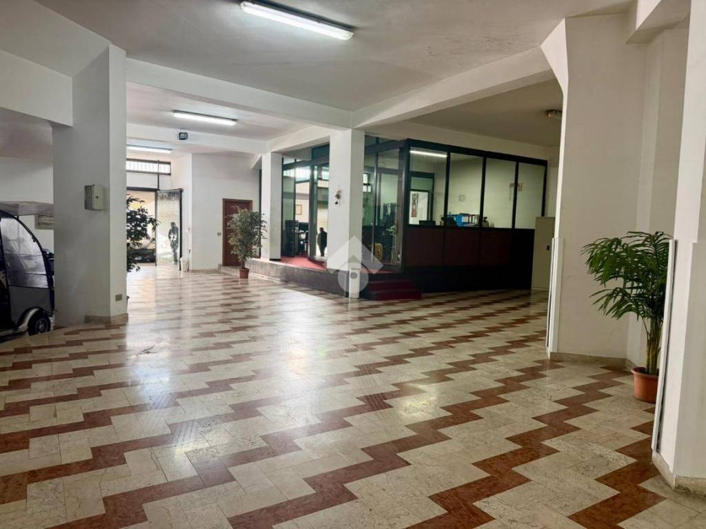 immagine annuncio 3 di 14