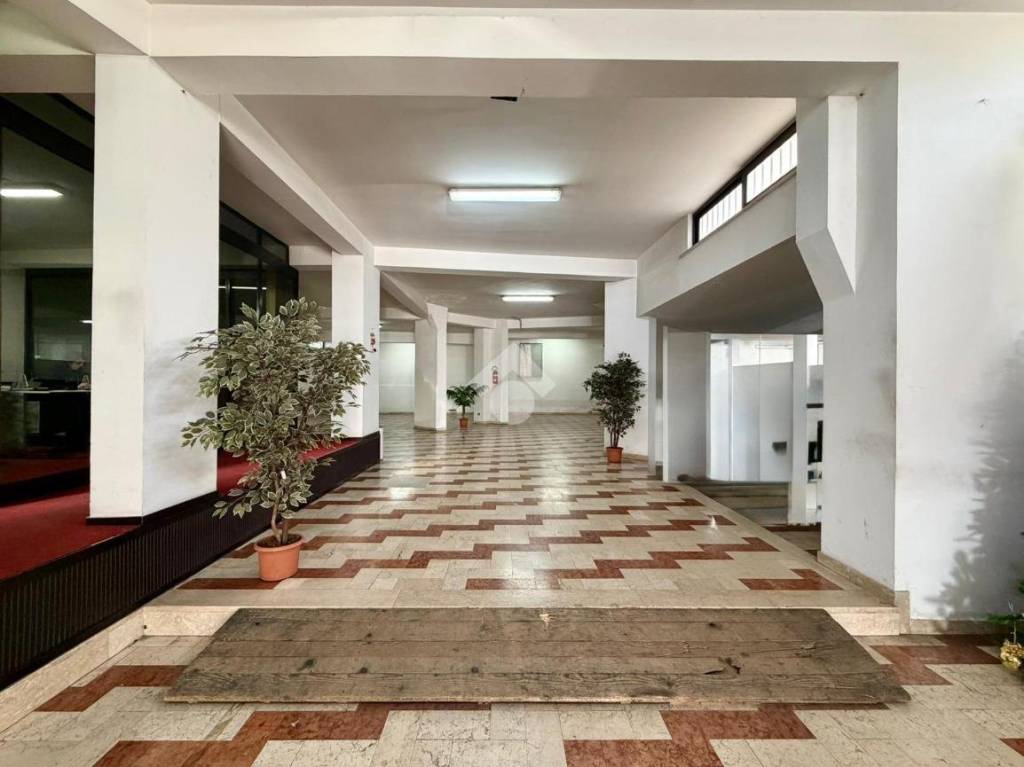 immagine annuncio 5 di 14