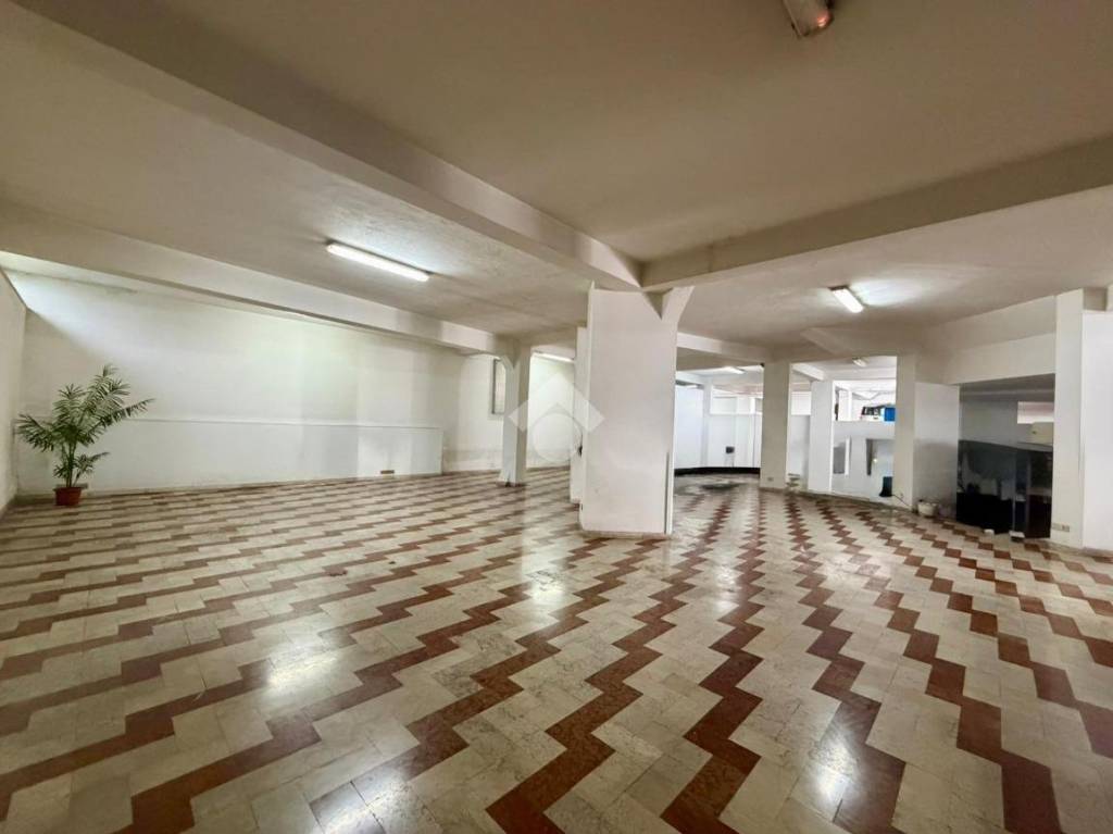 immagine annuncio 9 di 14