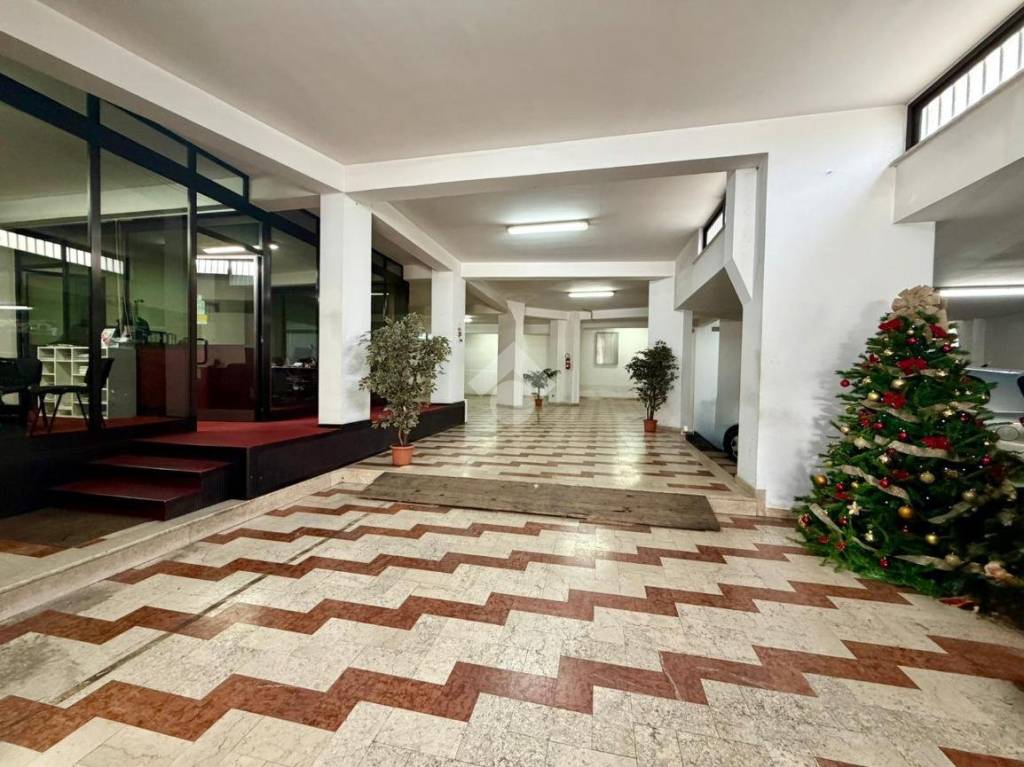 immagine annuncio 11 di 14