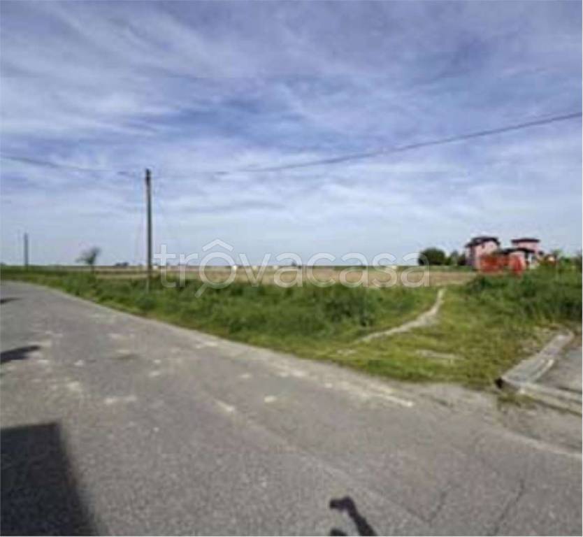 immagine annuncio 4 di 11