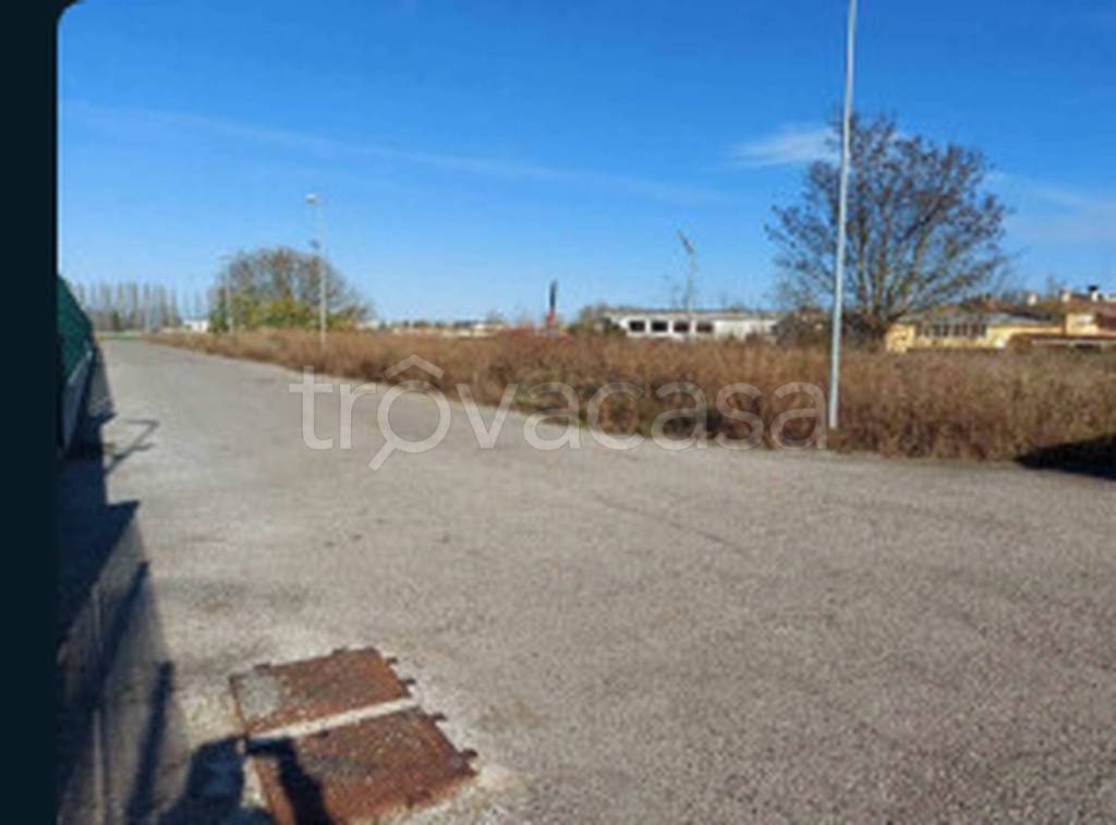 immagine annuncio 3 di 11