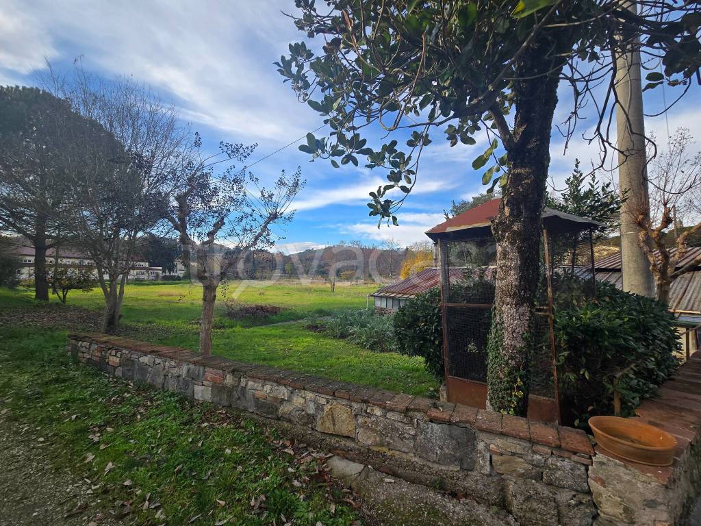 immagine annuncio 7 di 13