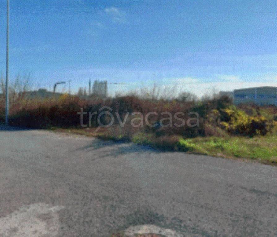 immagine annuncio 3 di 13