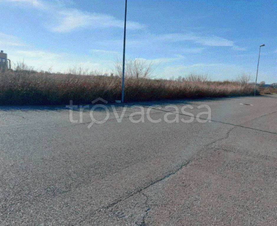 immagine annuncio 12 di 13