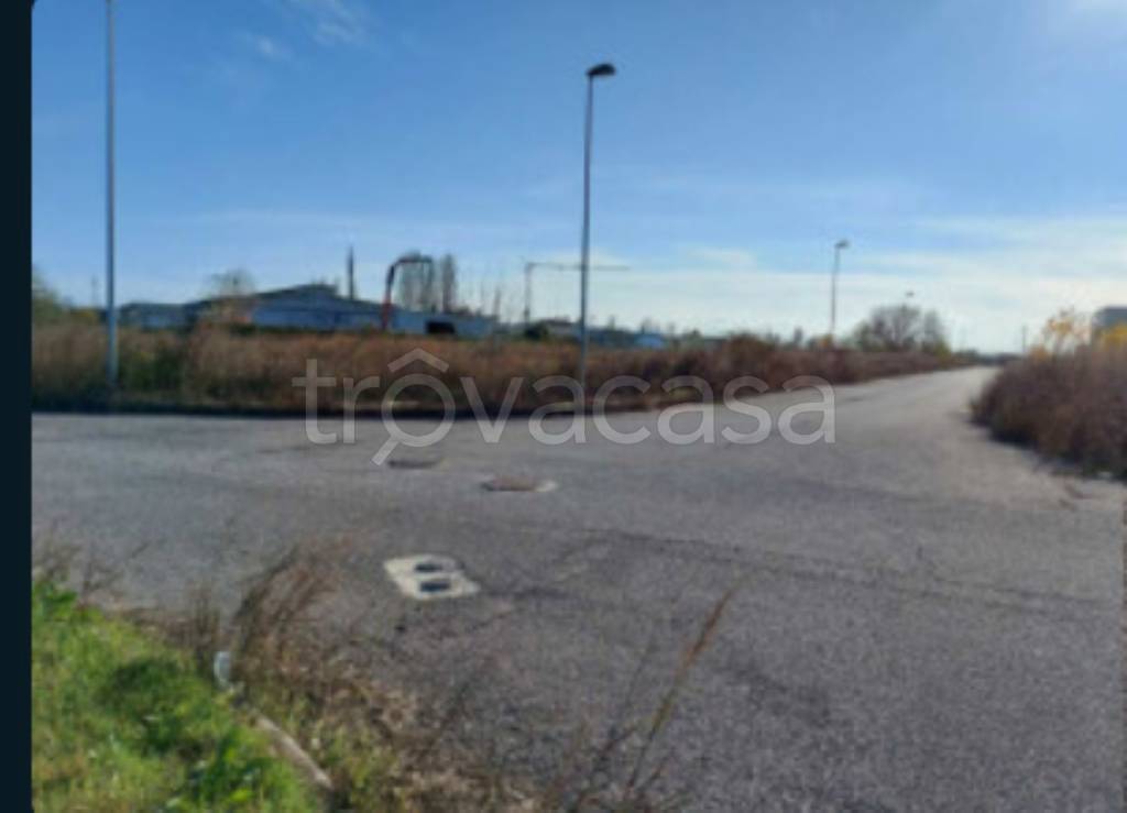 immagine annuncio 4 di 12