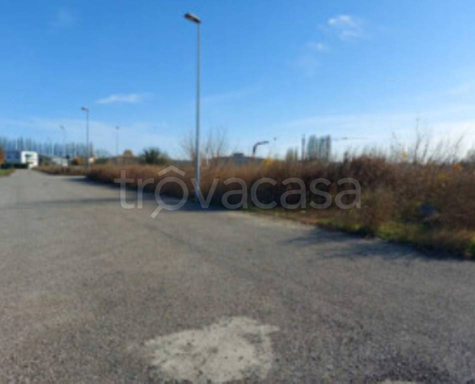 immagine annuncio 6 di 12