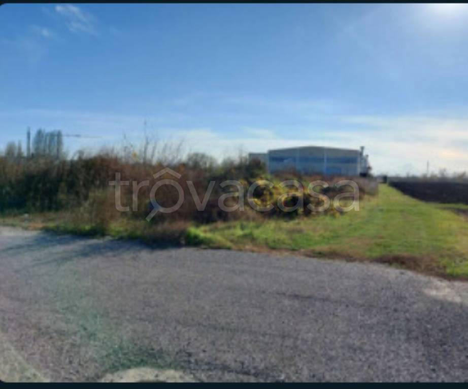 immagine annuncio 7 di 12