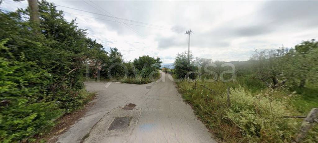 immagine annuncio 7 di 14