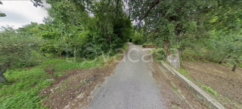 immagine annuncio 8 di 14