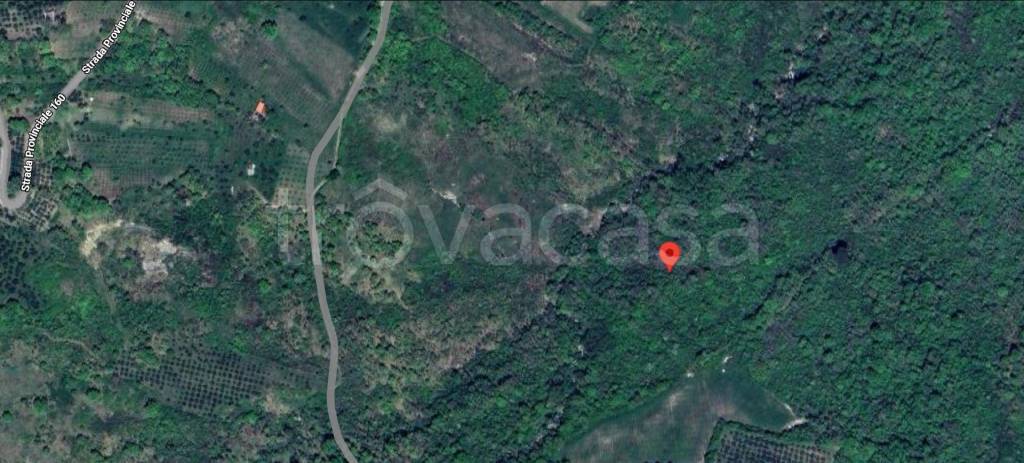 immagine annuncio 10 di 14