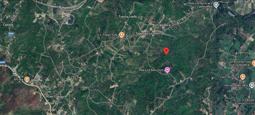 immagine annuncio 11 di 14