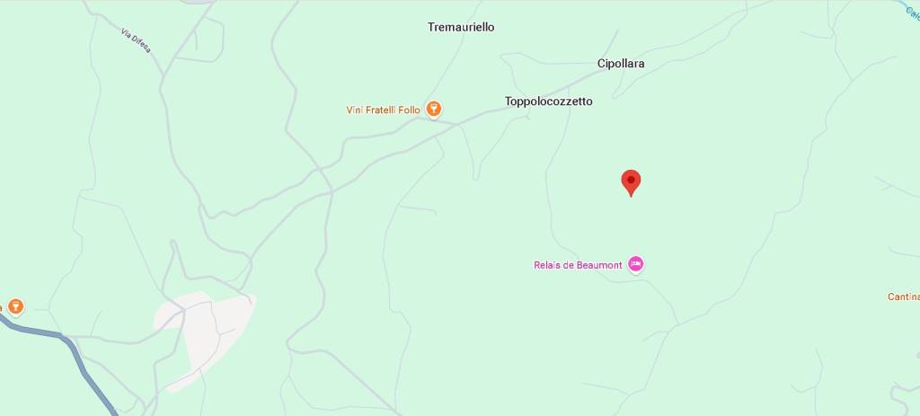 immagine annuncio 12 di 14