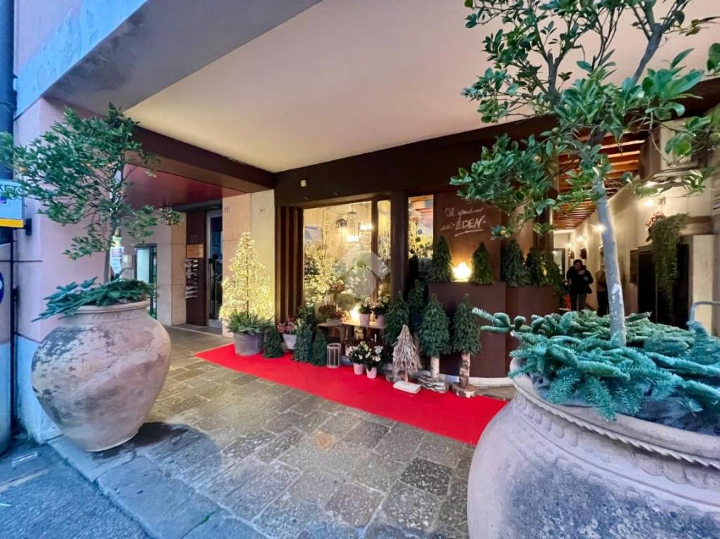 immagine annuncio 3 di 11