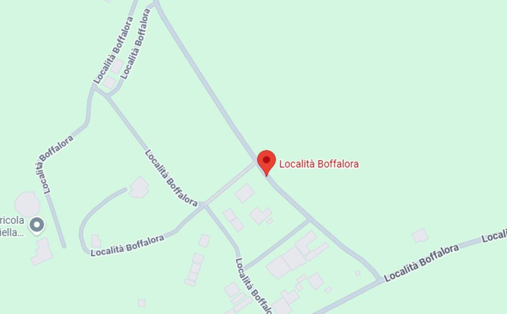 immagine annuncio 2 di 11