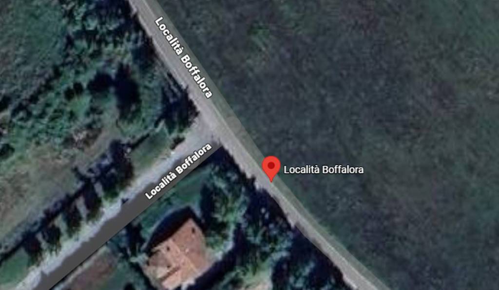 immagine annuncio 5 di 11