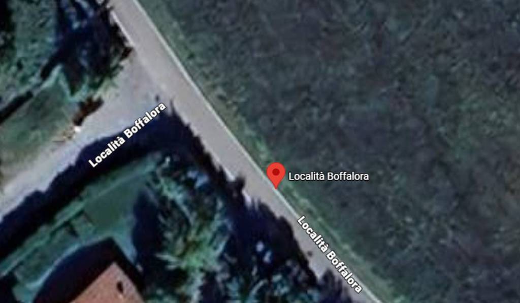 immagine annuncio 6 di 11