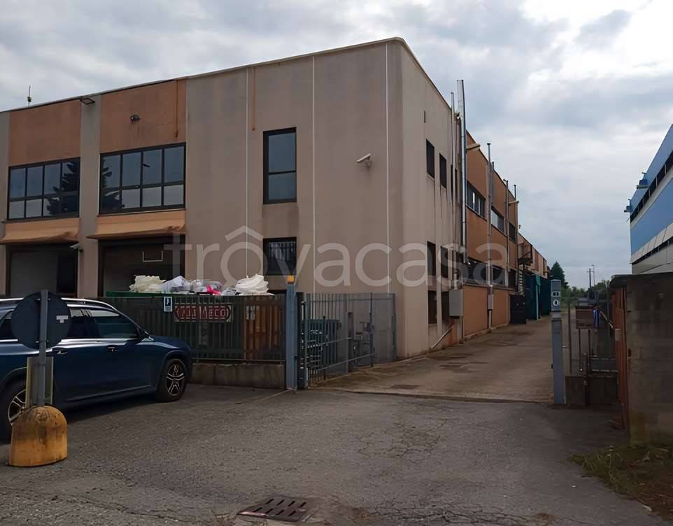 immagine annuncio 1 di 12