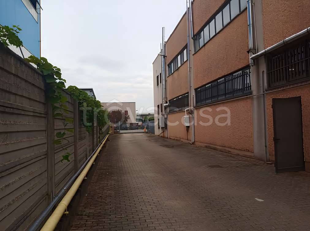 immagine annuncio 2 di 12