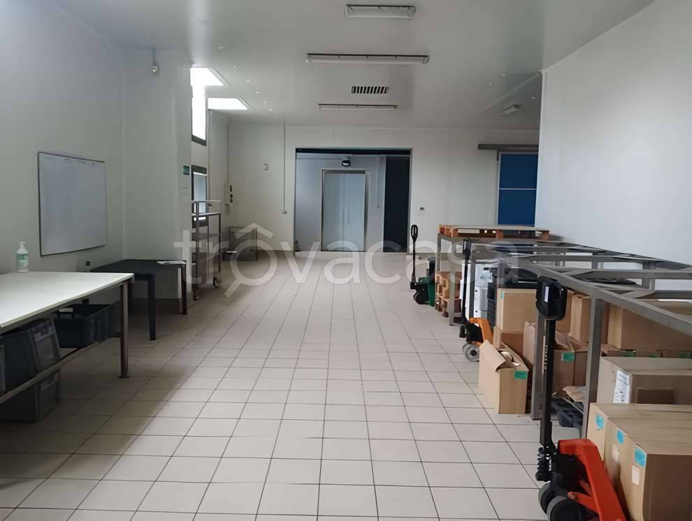 immagine annuncio 8 di 12