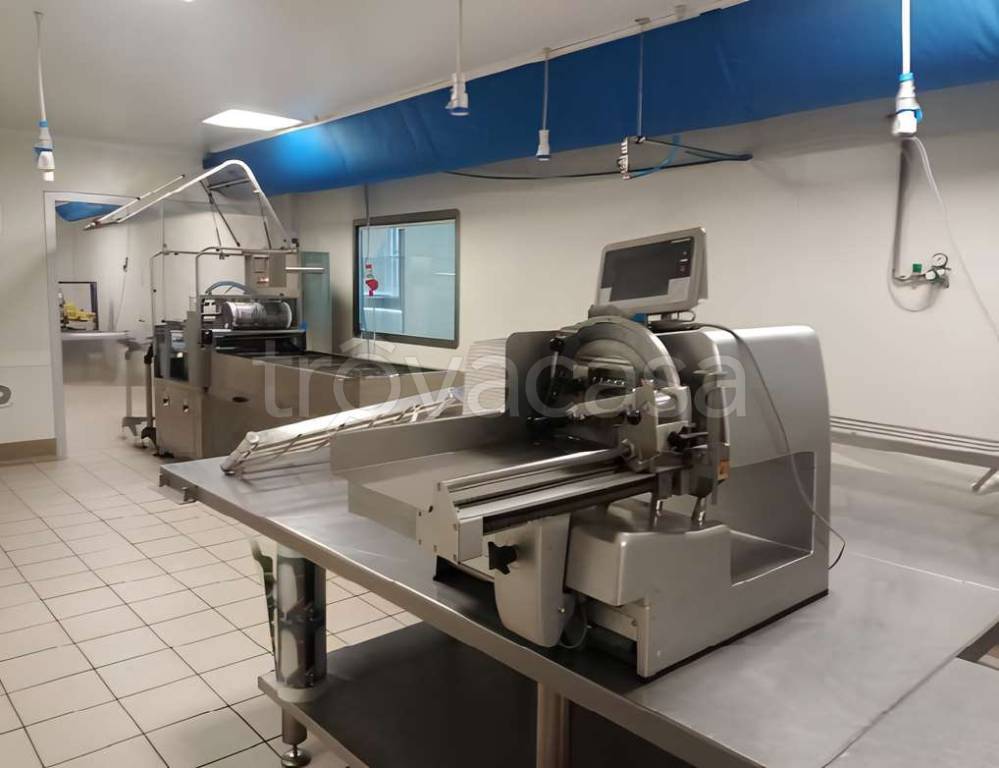 immagine annuncio 10 di 12