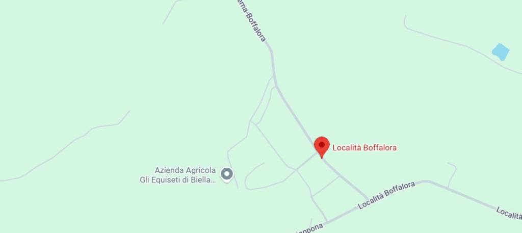 immagine annuncio 5 di 9