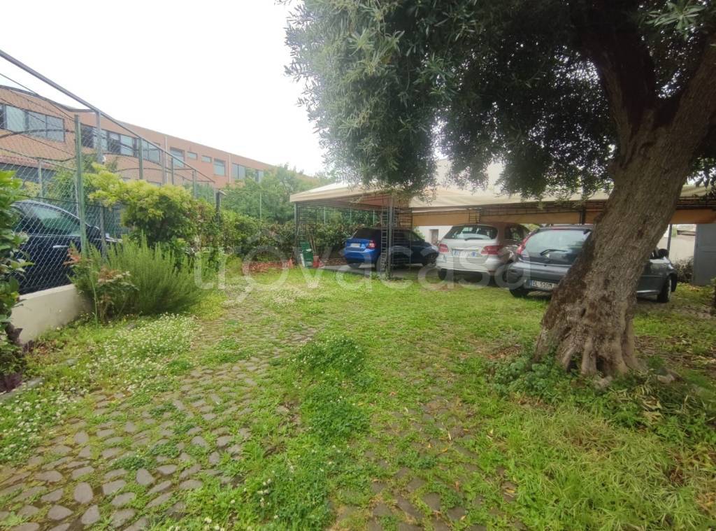 immagine annuncio 4 di 15