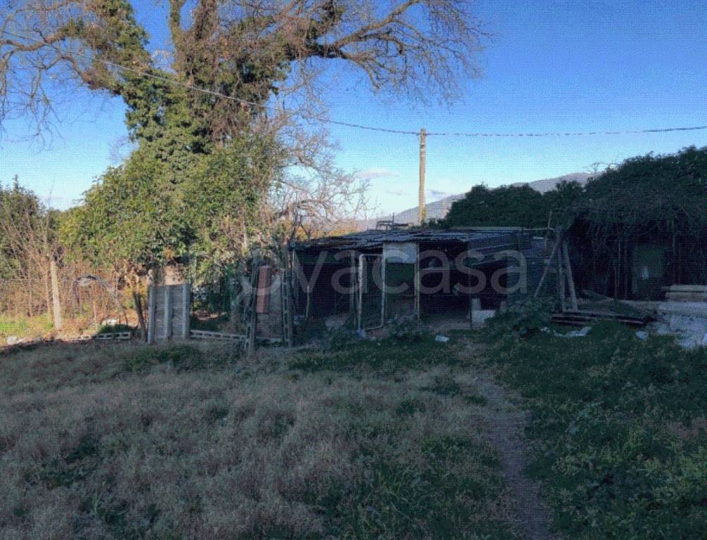 immagine annuncio 2 di 12