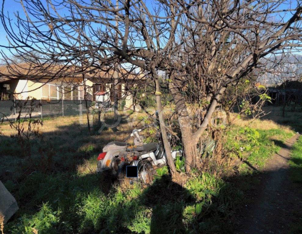 immagine annuncio 3 di 12